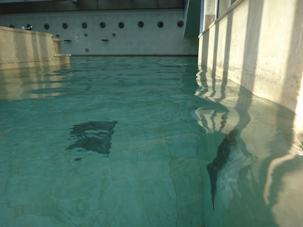 Terme Di Venturina Hotell Venturina Terme Exteriör bild